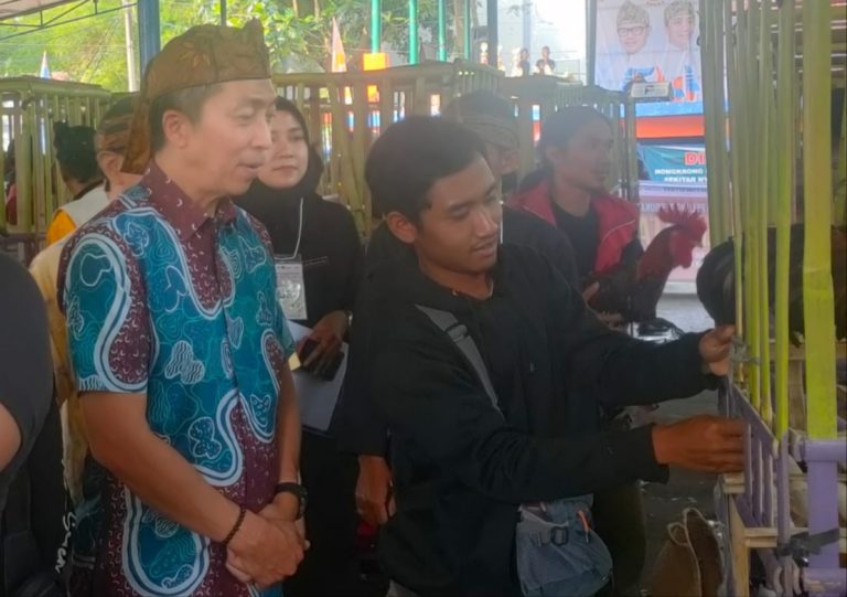Kontes Ayam Pelung, Dedie: Ini potensi untuk meningkatkan ekonomi masyarakat
