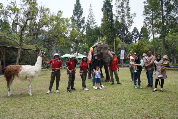 Rayakan Hari Satwa Sedunia, Ini yang Dilakukan Royal Safari Garden Kepada Pengunjung