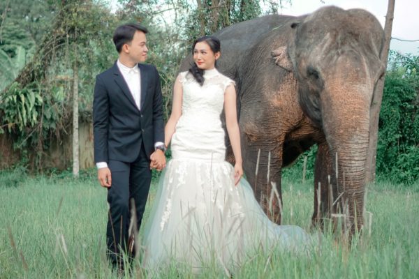 Photo ‘Prewedding’ Unik Bersama Satwa-satwa di Royal Safari Garden