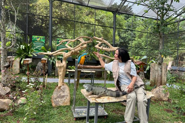 Liburan Lebaran Penuh Keceriaan di Rivera, Tiket Masuk Mulai Rp35 ribuan