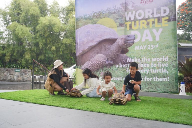 Turut Peringati World Turtle Day, RSG Ajak Pengunjung Kenalan dengan Kura-Kura di Reptile Island